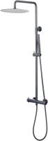 Душевая система со смесителем Allen Brau Fantasy 5.11001-MG монтаж настенная с термостатом брашированный графит