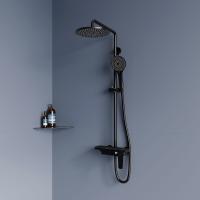 Душевая система со смесителем RGW Shower Panels 51140133-04 монтаж настенная без термостата черный