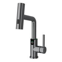 Смеситель для раковины Black&White Universe SD3028GM оружейная сталь