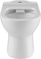 Чаша напольного унитаза Aquanet Ray Ray-C цвет белый