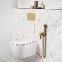 Гигиенический душ Vincea  VHFW-101BG встраиваемый в стену брашированное золото