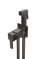 Гигиенический душ RGW Shower Panels 581408212-11 встраиваемый в стену серый Brush