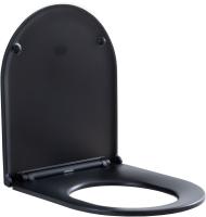 Крышка-сиденье Aquanet Lake 316466 цвет черный матовый
