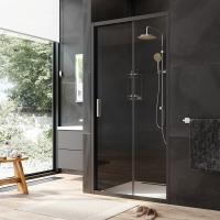 Душевая дверь Am.Pm Gem W90G-100-1-195BT 100 см стекла прозрачные, профиль черный
