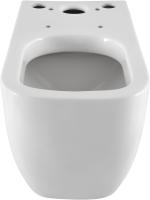 Чаша напольного унитаза Allen Brau Infinity 4.21001.20 цвет белый