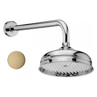 Верхний душ Webert  AC0015065 бронза 