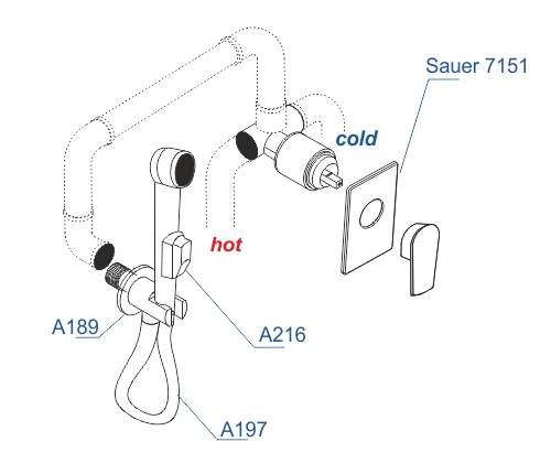 Гигиенический душ Wasserkraft Sauer А71097 встраиваемый в стену золото