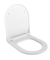 Крышка-сиденье Ambassador Abner 102T20101S белый матовый