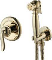 Гигиенический душ Lemark Brava LM4719G встраиваемый в стену золотой