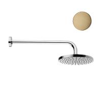 Верхний душ Webert  AC0013065METAL бронза 