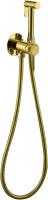 Гигиенический душ Allen Brau Priority 3.0 5.31A29-GB встраиваемый в стену брашированное золото