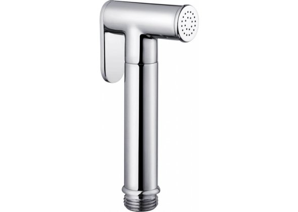 Гигиенический душ Aquanet Static 00257147 встраиваемый в стену хром