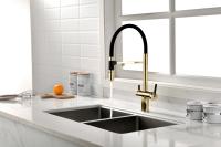 Смеситель для кухни Paulmark Gravity Gr213888-G с подключением к фильтру золото