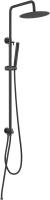 Душевая система без смесителя Allen Brau Priority 5.31031-31 монтаж настенная  черный матовый