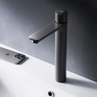 Смеситель для раковины Am.Pm X-Joy F85A92522 черный матовый