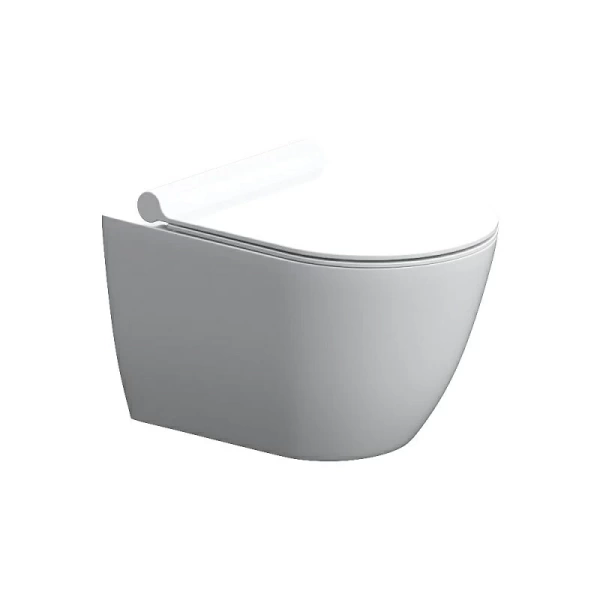 Унитаз подвесной Damixa Scandinavian Pure DX36C1701SC Rimless фарфор белый