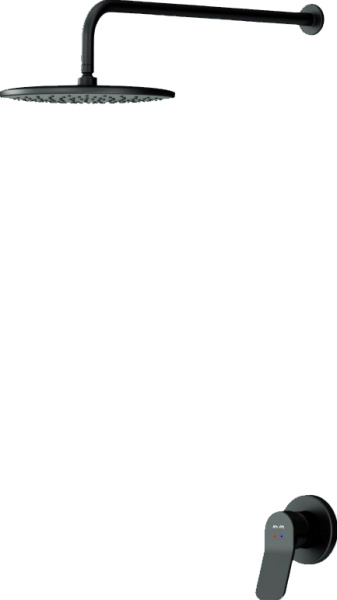 Душевая система со смесителем Am.Pm X-Joy FB85A2R002 монтаж  без термостата 