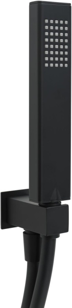 Душевой гарнитур Allen Brau Infinity 5.21021-31 черный матовый 
