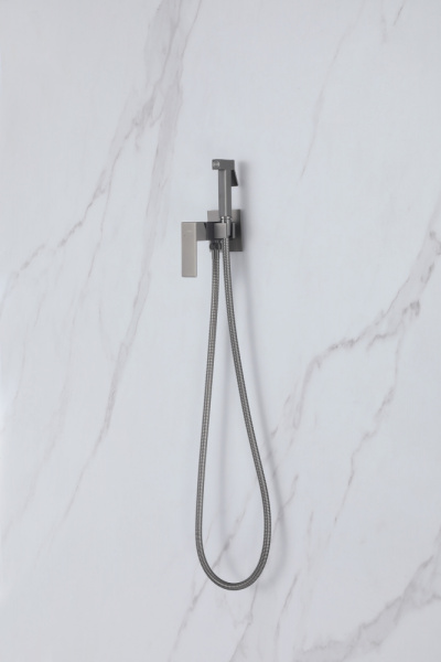 Гигиенический душ Abber Daheim AF8226NG встраиваемый в стену никель