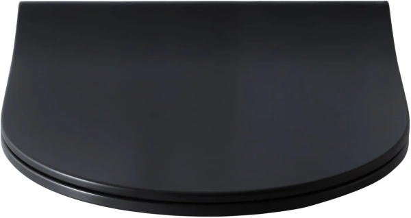 Крышка-сиденье Allen Brau Priority 4.31004.31 цвет черный матовый