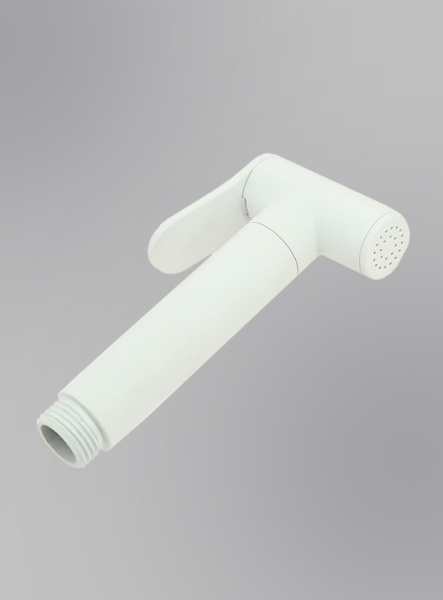 Гигиенический душ ALMAes Agata AL-877-06 встраиваемый в стену белый матовый