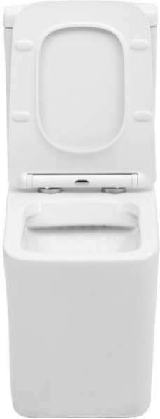 Чаша напольного унитаза Aquanet Tavr TAVR-C1 цвет белый