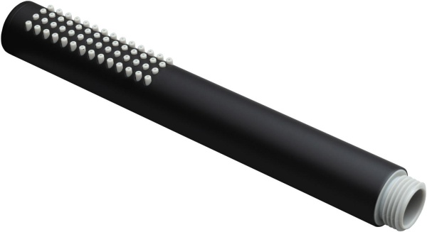 Лейка для душа Allen Brau Priority 5.31020-31 черная матовая 
