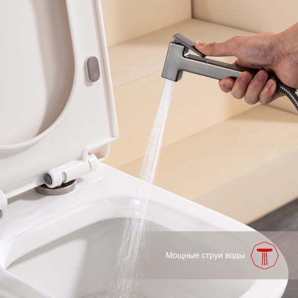 Гигиенический душ Raglo  R51.51.09 настенный графит