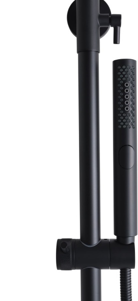 Душевая система со смесителем Allen Brau Fantasy 5.11001-31 монтаж настенная с термостатом черный матовый