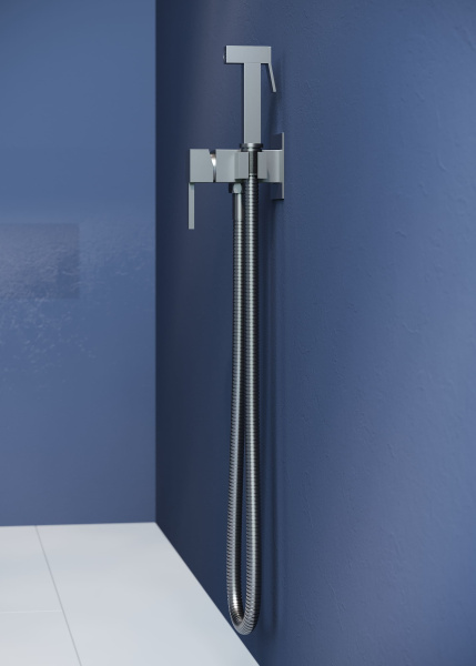 Гигиенический душ RGW Shower Panels 581408212-11 встраиваемый в стену серый Brush