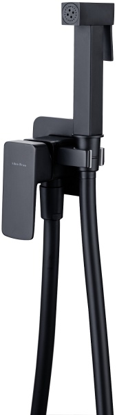 Гигиенический душ Allen Brau Infinity 5.21005-31 встраиваемый в стену черный матовый