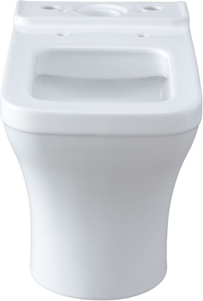 Чаша напольного унитаза Allen Brau Infinity 2.0 4.21012.20 цвет белый