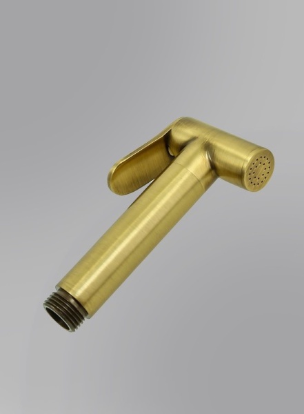 Гигиенический душ ALMAes Benito AL-859-09 встраиваемый в стену бронза