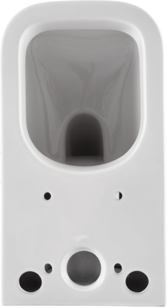 Чаша напольного унитаза Allen Brau Infinity 4.21001.20 цвет белый