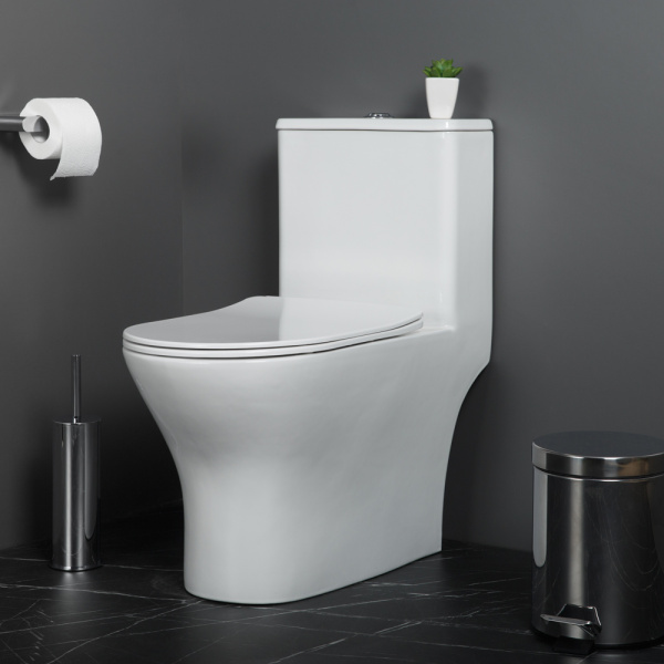 Унитаз напольный моноблок BelBagno Lounge BB8618CPR-MN/SC Rimless фаянс белый