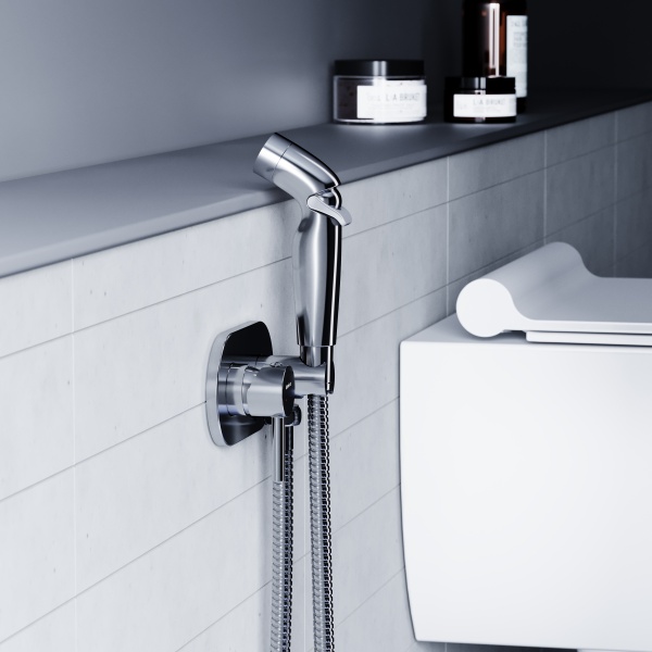 Гигиенический душ Damixa Option 212000000 встраиваемый в стену хром