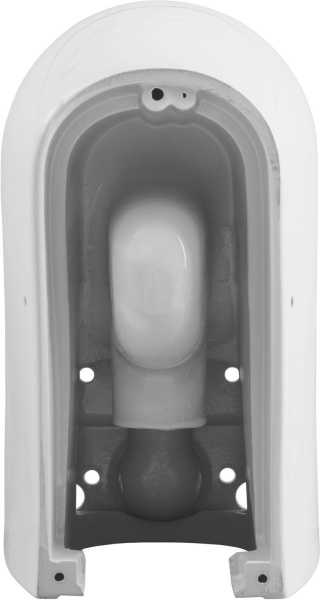 Чаша напольного унитаза Allen Brau Priority 2.0 4.31003.20 цвет белый