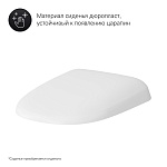 Крышка-сиденье Am.Pm Sensation C307851WH цвет белый