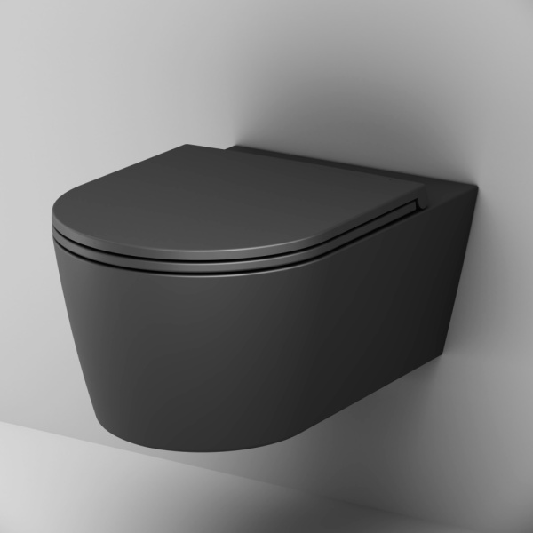 Унитаз подвесной Am.Pm Func C8F1701MBSC Rimless дюропласт нержавеющая сталь фарфор белый матовый