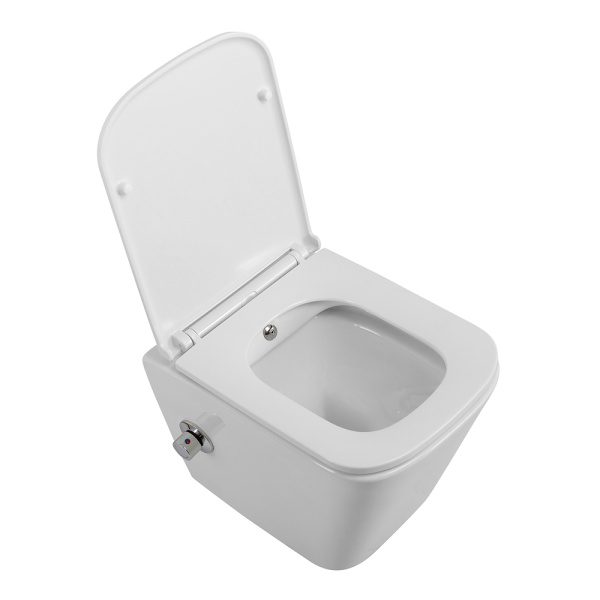 Унитаз подвесной BelBagno Due DUE BB3103CHR-BS/SC Rimless фаянс белый