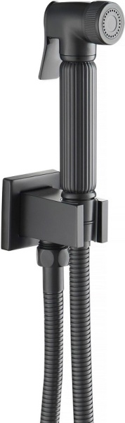 Гигиенический душ Timo Torne 4389/03SM встраиваемый в стену черный