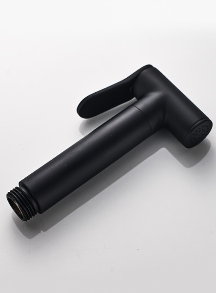 Гигиенический душ ALMAes Agata AL-877-05 встраиваемый в стену черный матовый