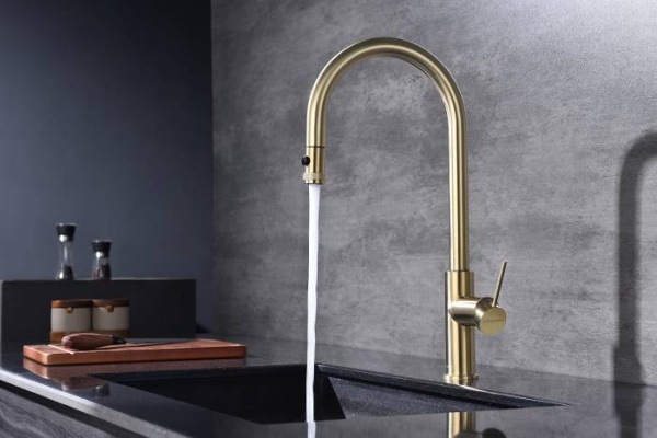 Смеситель для кухни Paulmark Galant Ga213077-SBG с подключением к фильтру светлое брашированное золото