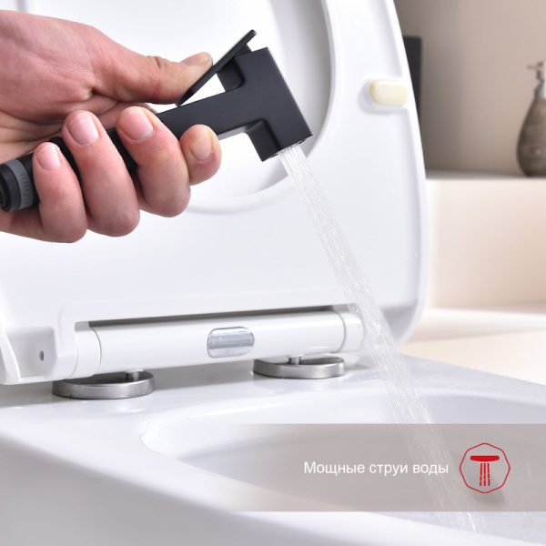 Гигиенический душ Raglo  R51.51.06 настенный черный матовый