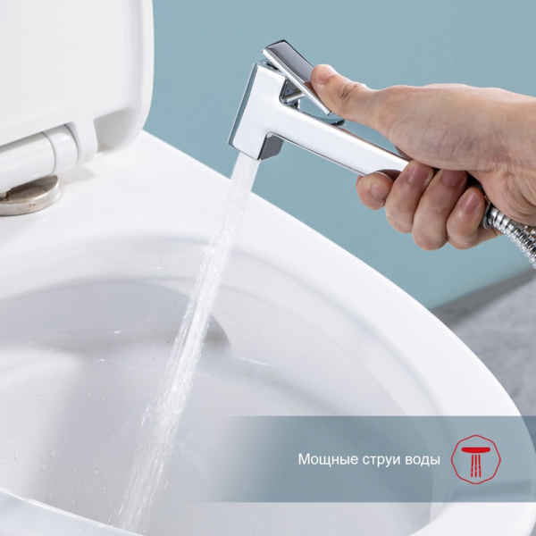 Гигиенический душ Raglo  R51.55 встраиваемый в стену хром