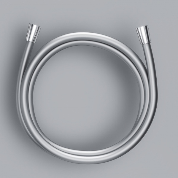 Шланг Am.Pm AM.PM F0415100 хром 