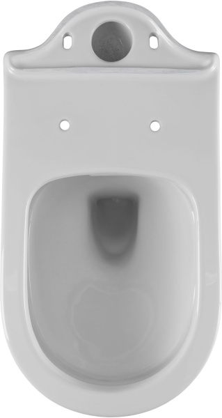 Чаша напольного унитаза Aquanet Ray Ray-C цвет белый