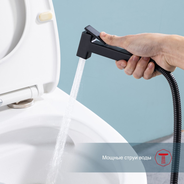 Гигиенический душ Raglo  R51.55.06 встраиваемый в стену черный матовый