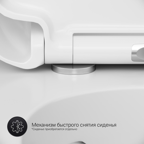 Крышка-сиденье Am.Pm Sensation C307851WH цвет белый