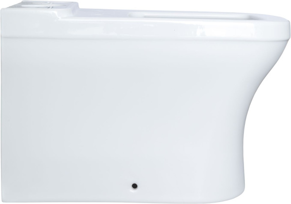 Чаша напольного унитаза Allen Brau Infinity 2.0 4.21012.20 цвет белый